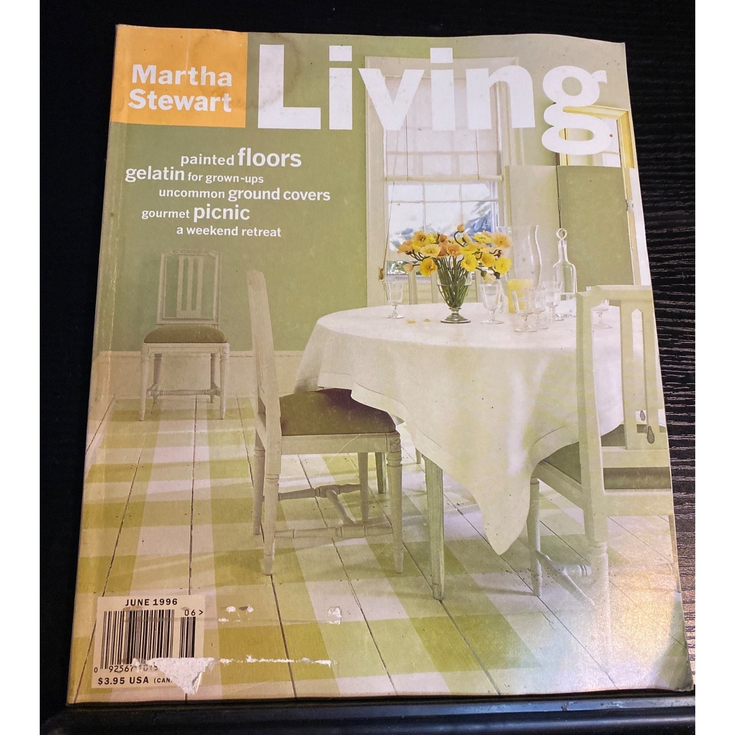 Martha Stewart Living Magazine June 1996 Painted Floors Gourmet Picnic