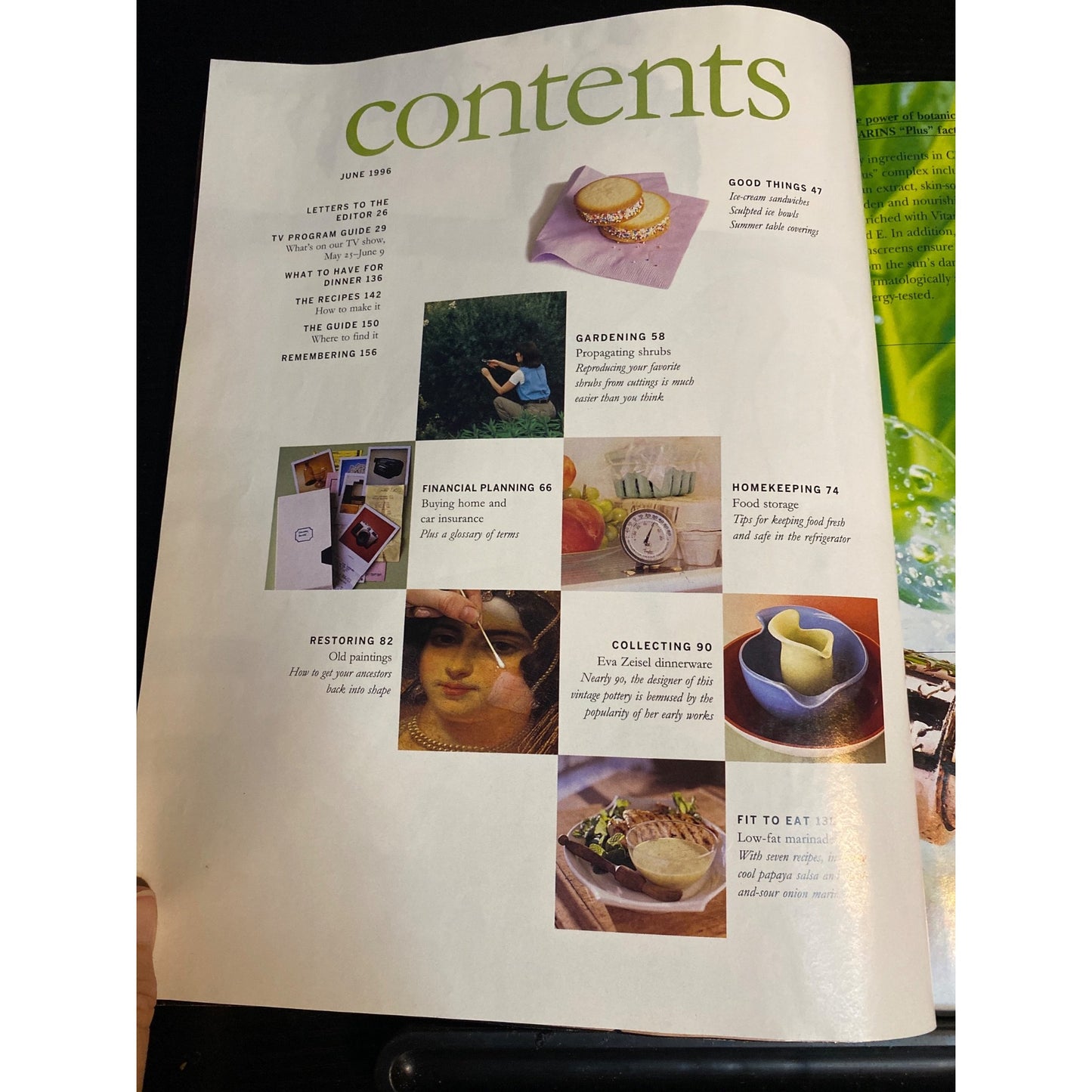 Martha Stewart Living Magazine June 1996 Painted Floors Gourmet Picnic