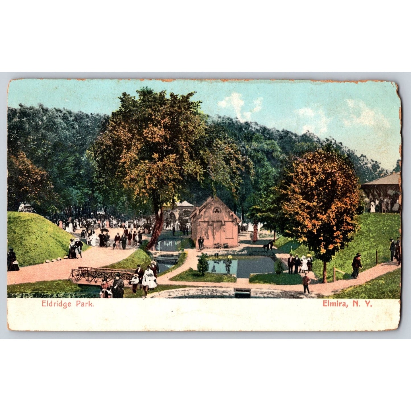 Elmira NY New York Eldridge Park Undivided Back Postcard Unused Poly-Chrome