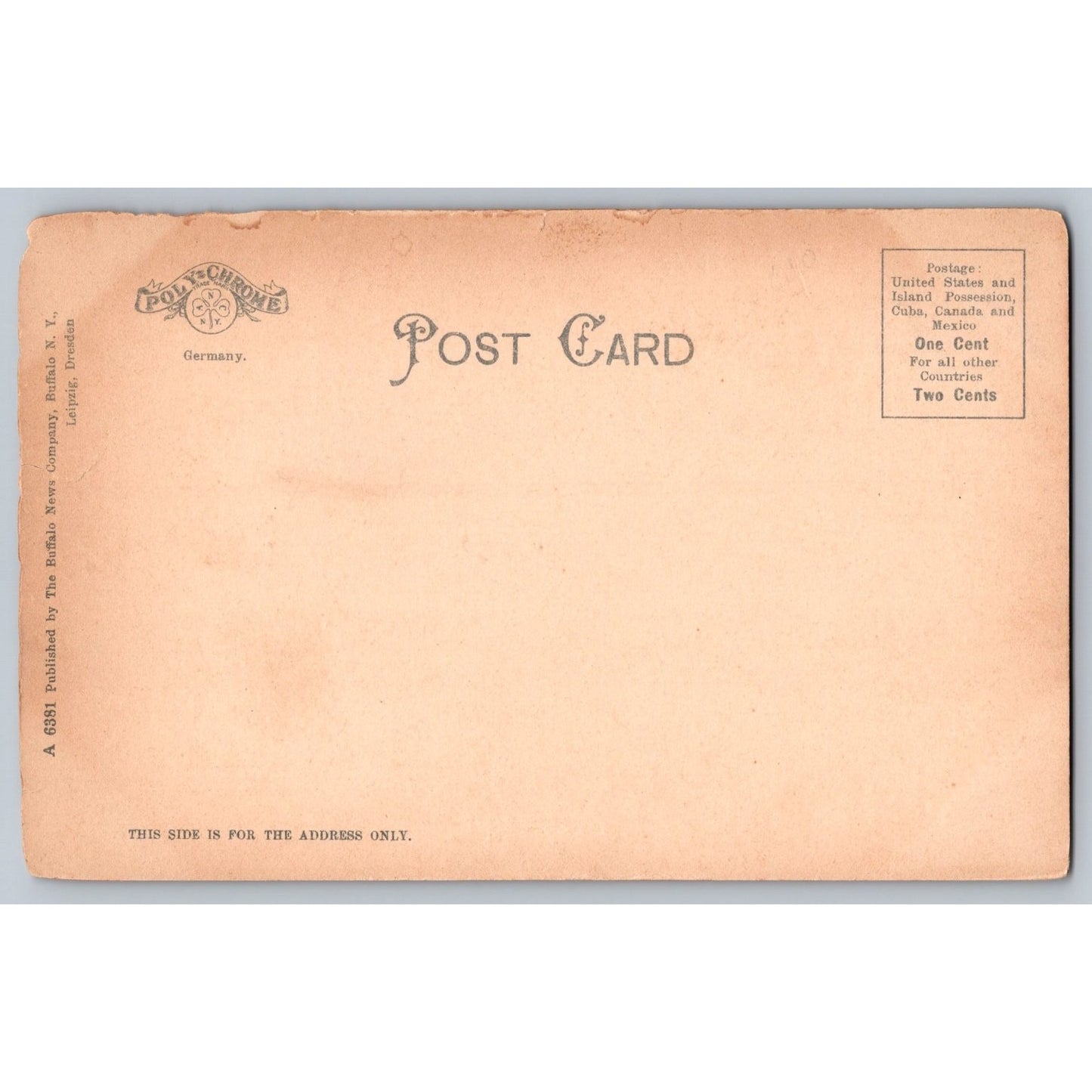 Elmira NY New York Eldridge Park Undivided Back Postcard Unused Poly-Chrome