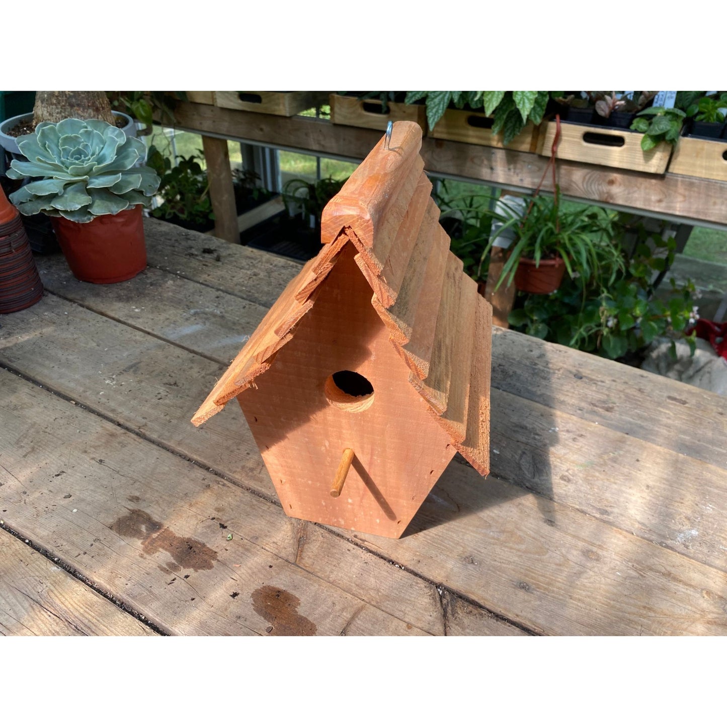 Handmade Birdhouse for Outdoor Use - Pumpkin Spice Milk Paint and Stained Roof