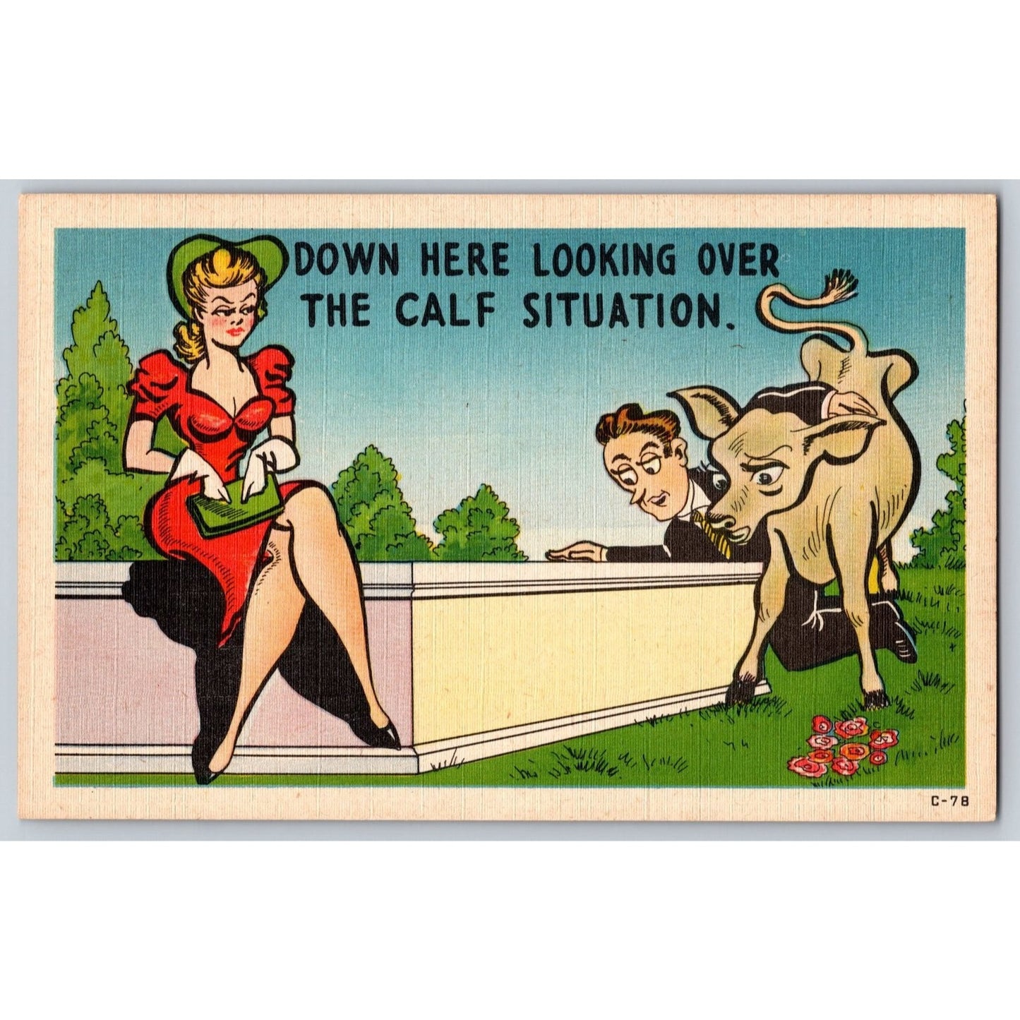 Comic Postcard Humorous Down Here Looking Over The Calf Situation Linen