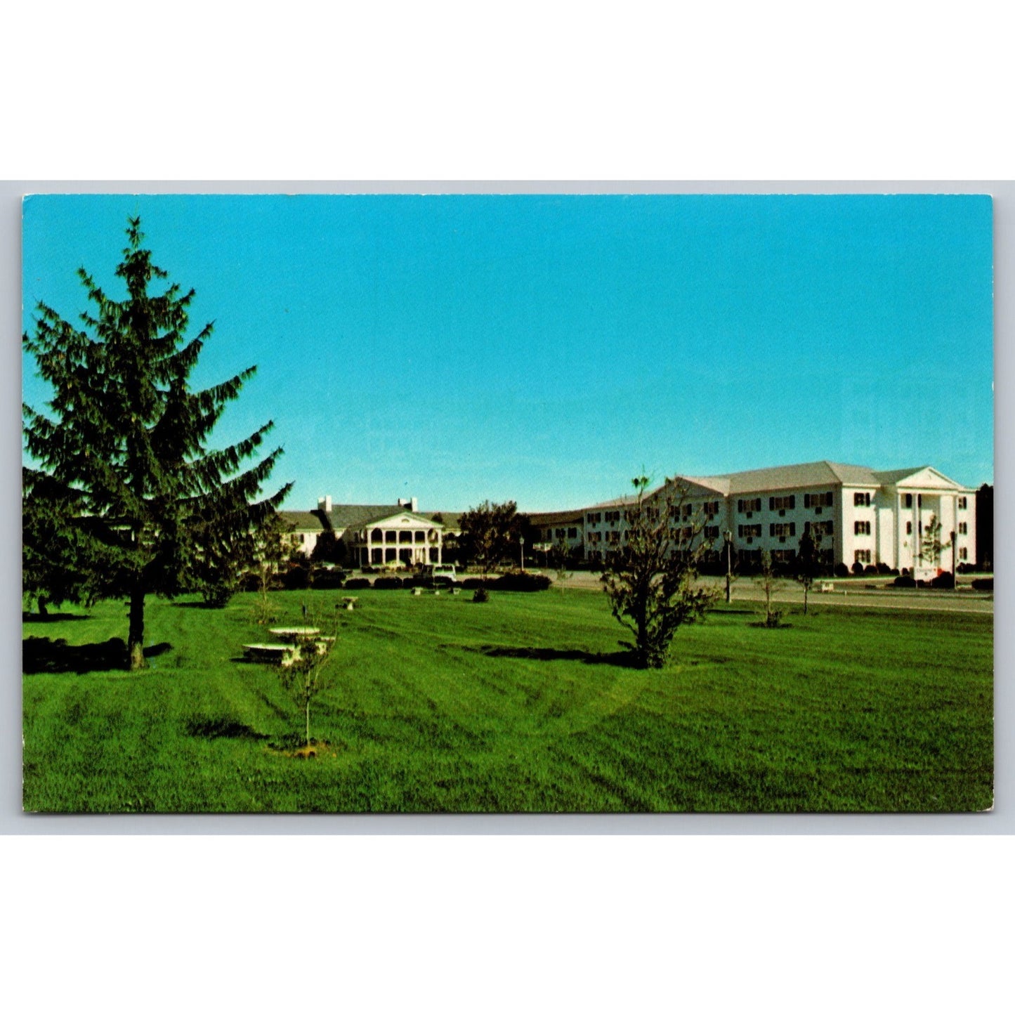 Lexington KY Kentucky Campbell House Chrome Postcard Unused
