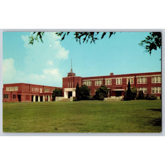 Tupelo MS Mississippi Junior High School Chrome Postcard Unused Curteich