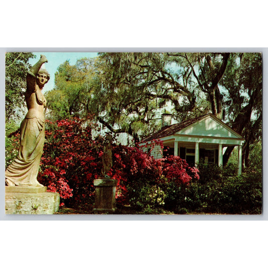 Vintage Doctors Office At Rosedown Plantation Postcard St. Francisville Louisiana LA