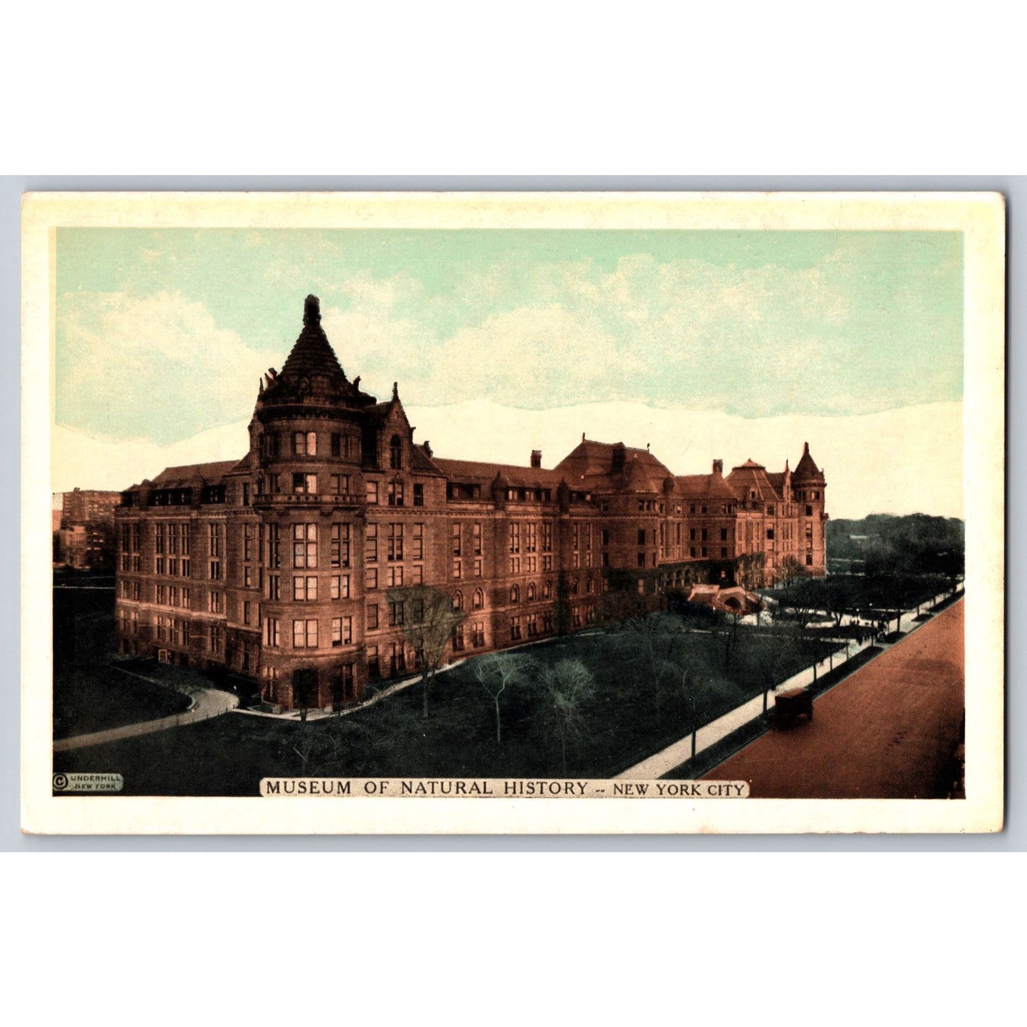 New York City NY Museum Of Natural History White Border Postcard Unused Lumitone