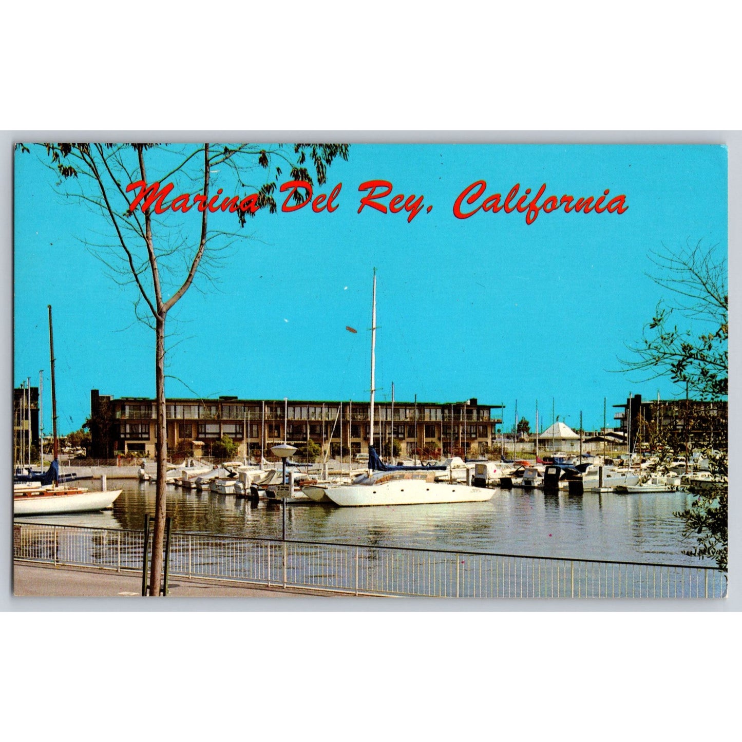 Postcard CA California Marina Del Rey Kriege Publishing Co Chrome Unused