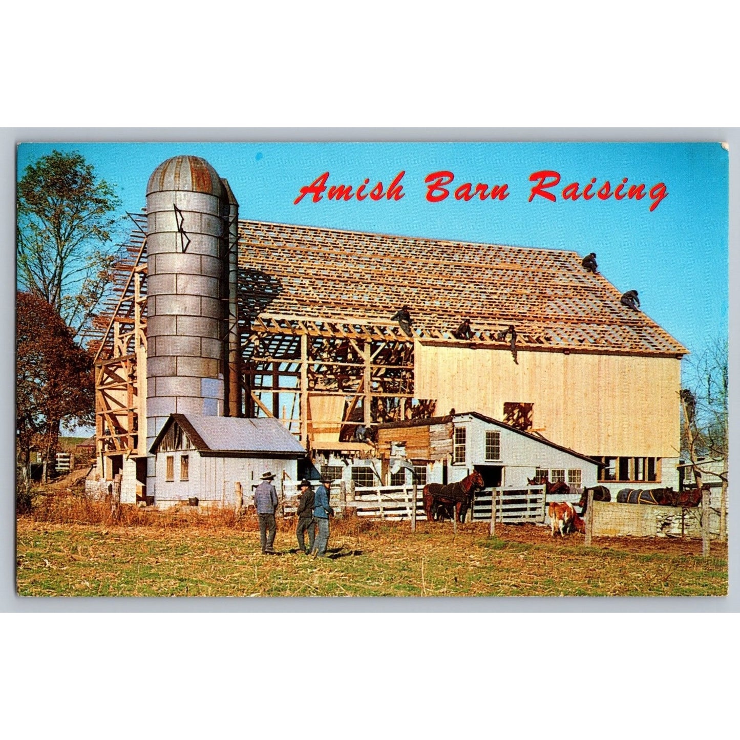 Lancaster PA Pennsylvania Amish Barn Raising Chrome Postcard Unused