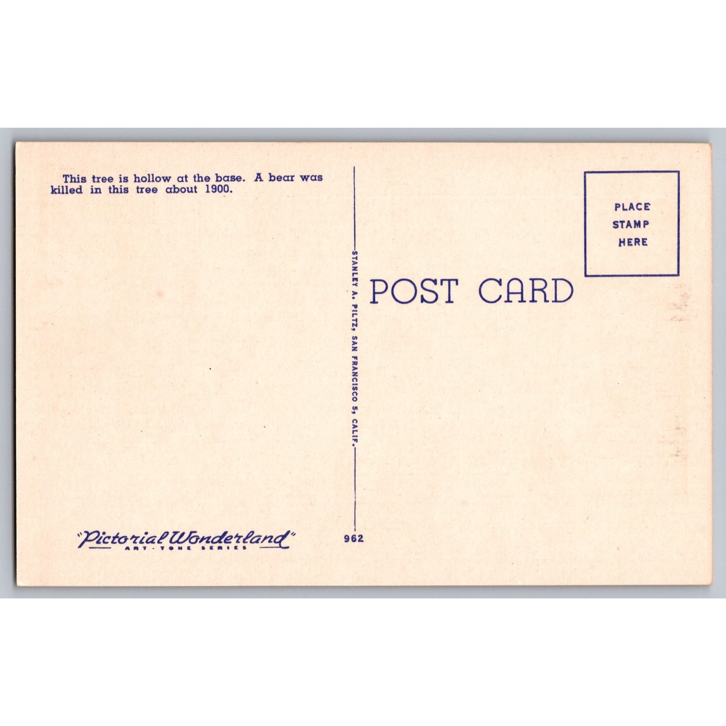 Santa Cruz CA California Big Basin Redwoods State Park Grandmother Tree Postcard