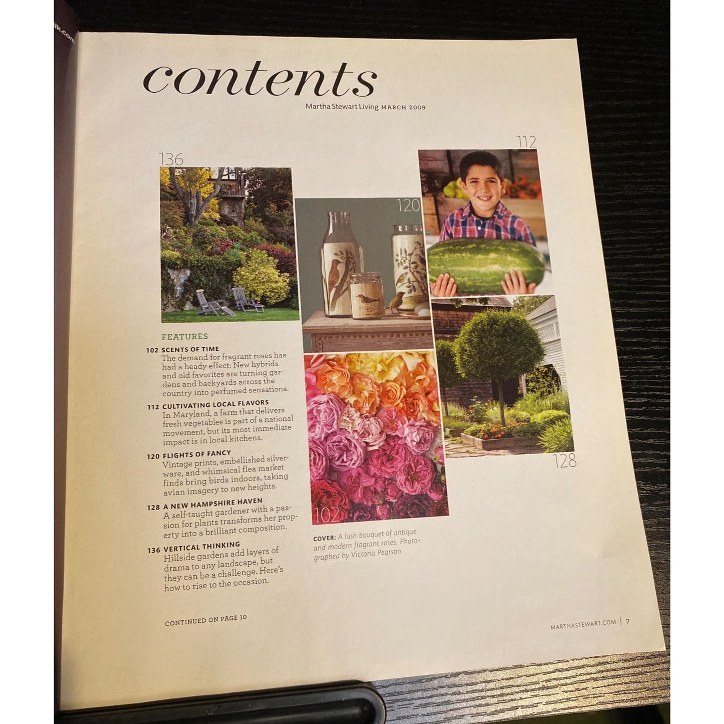 Martha Stewart Living Magazine #184 March 2009 Gardening Solutions