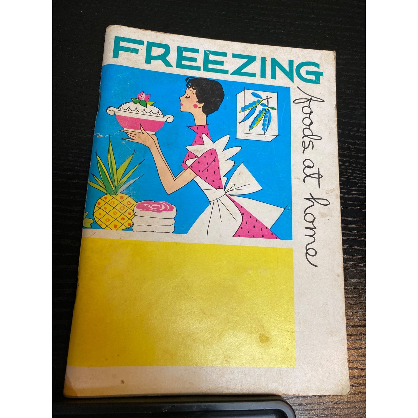 Cookbook Booklet Freezing Foods At Home By Shirley Rolfs Medinger 1971