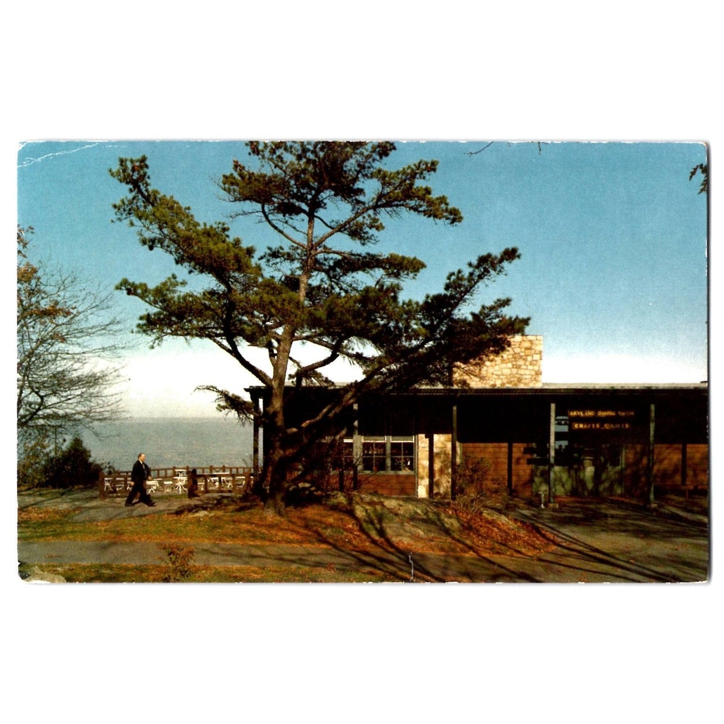 Luray VA Virginia Skyland Dining Room Shenandoah National Park Postcard