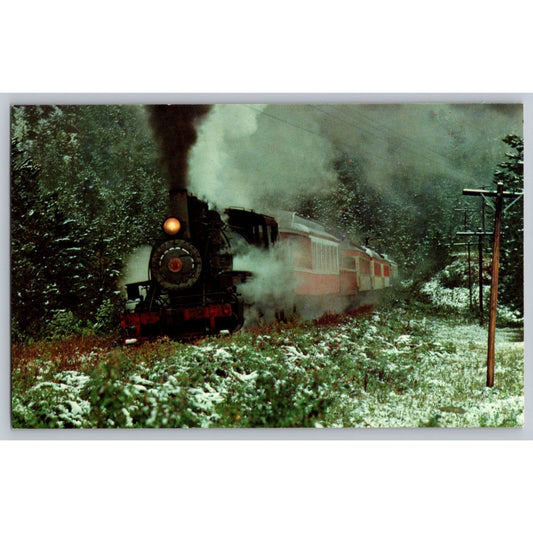 Black Hills SD Central Railroad No 104 Steam Train Winter Scene Postcard