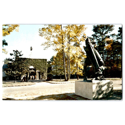 Newport News VA Virginia Mariners Museum Postcard Leif Ericsson Statue