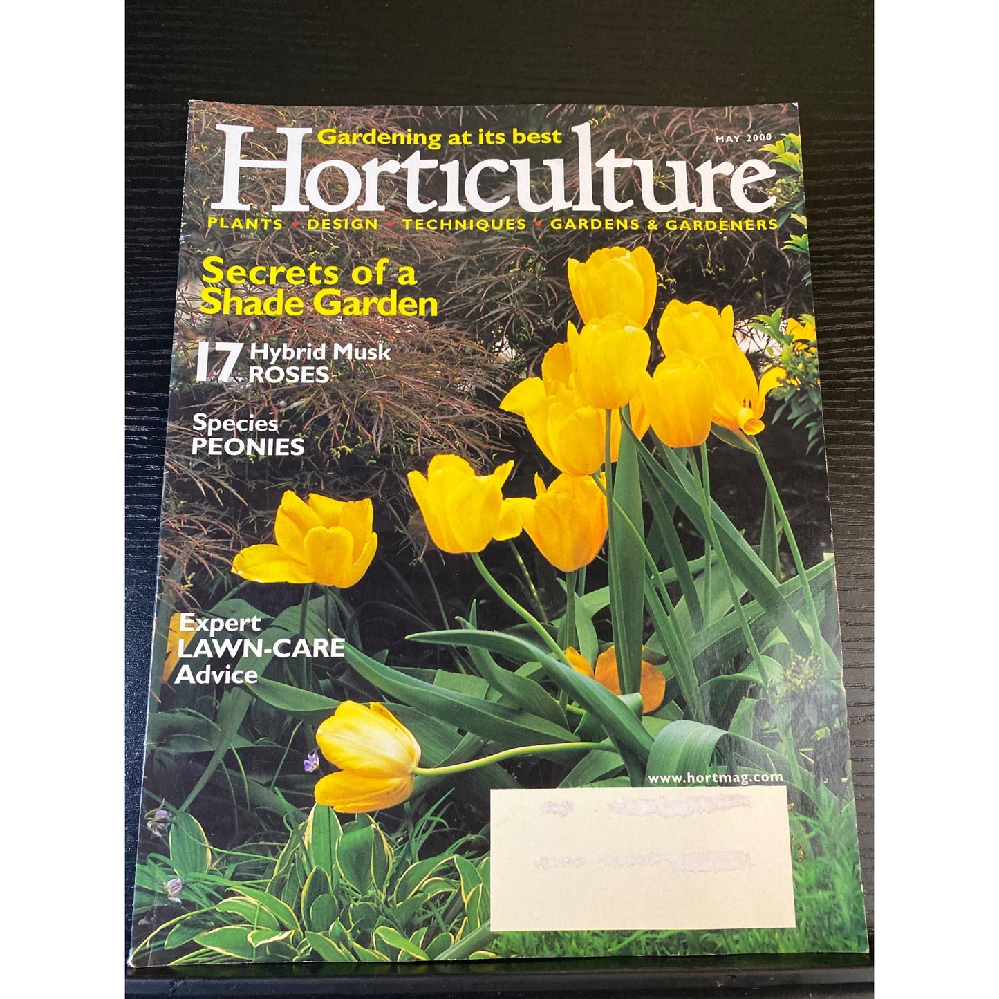 Horticulture Magazine May 2000 Secrets Of A Shade Garden Gardening Techniques & Lawn Care