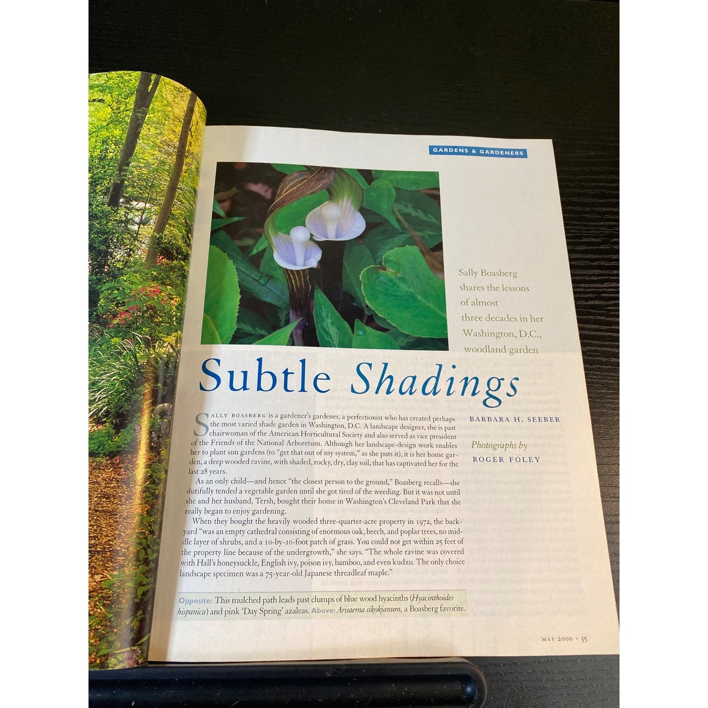 Horticulture Magazine May 2000 Secrets Of A Shade Garden Gardening Techniques & Lawn Care