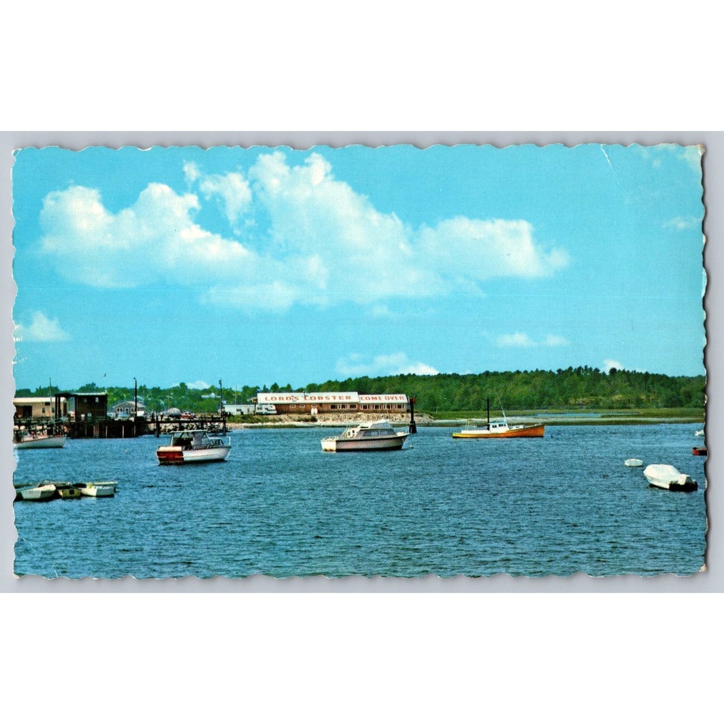 Wells ME Maine The Harbor Walt Reyelt Eastern 1975 Chrome Postcard Unused