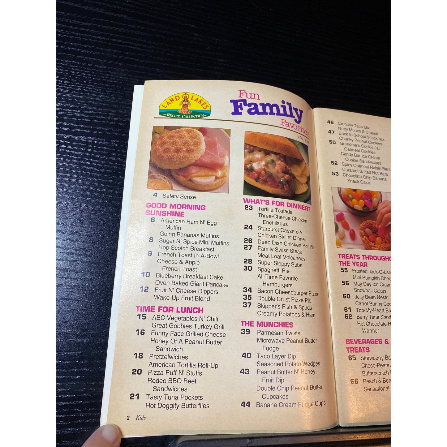 Land O Lakes Fun Family Favorites Recipe Book Vol. 2