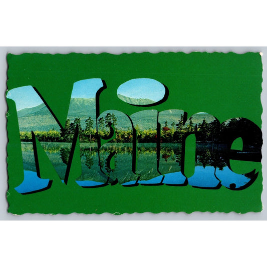 Maine ME Pine Tree State Scenic Large Letter Chrome Postcard Unused Ray Goodrich