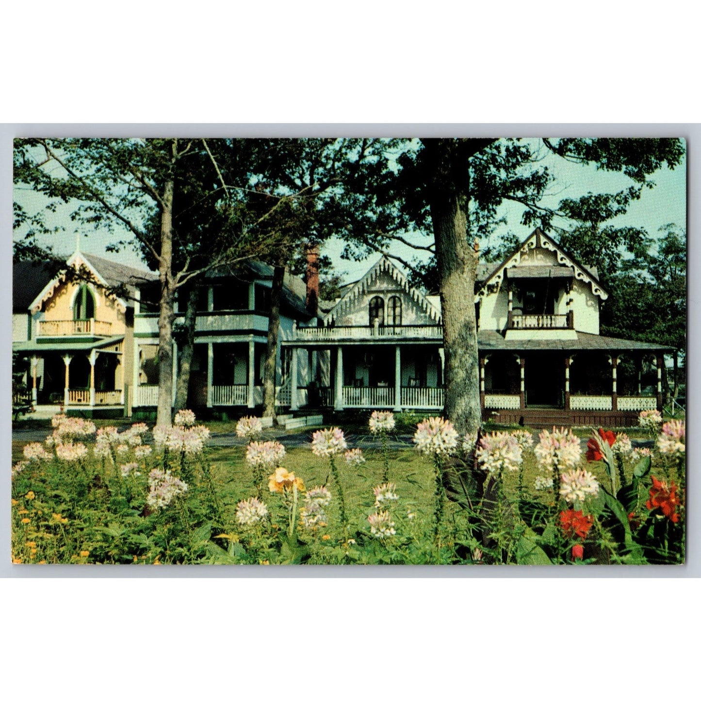 Martha's Vineyard MA Massachusetts Gingerbread Cottages Chrome Postcard Unused