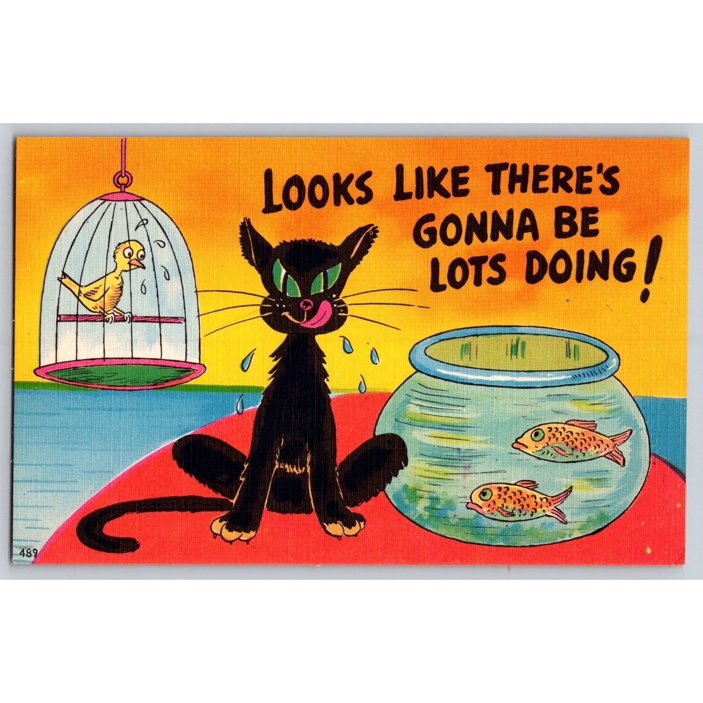 Comic Postcard Black Cat & Bird Humor Linen Colorpicture Pub Asheville NC