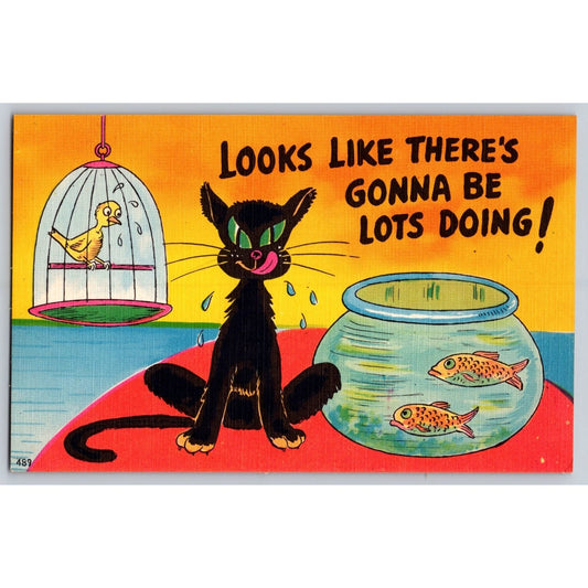 Comic Postcard Black Cat & Bird Humor Linen Colorpicture Pub Asheville NC