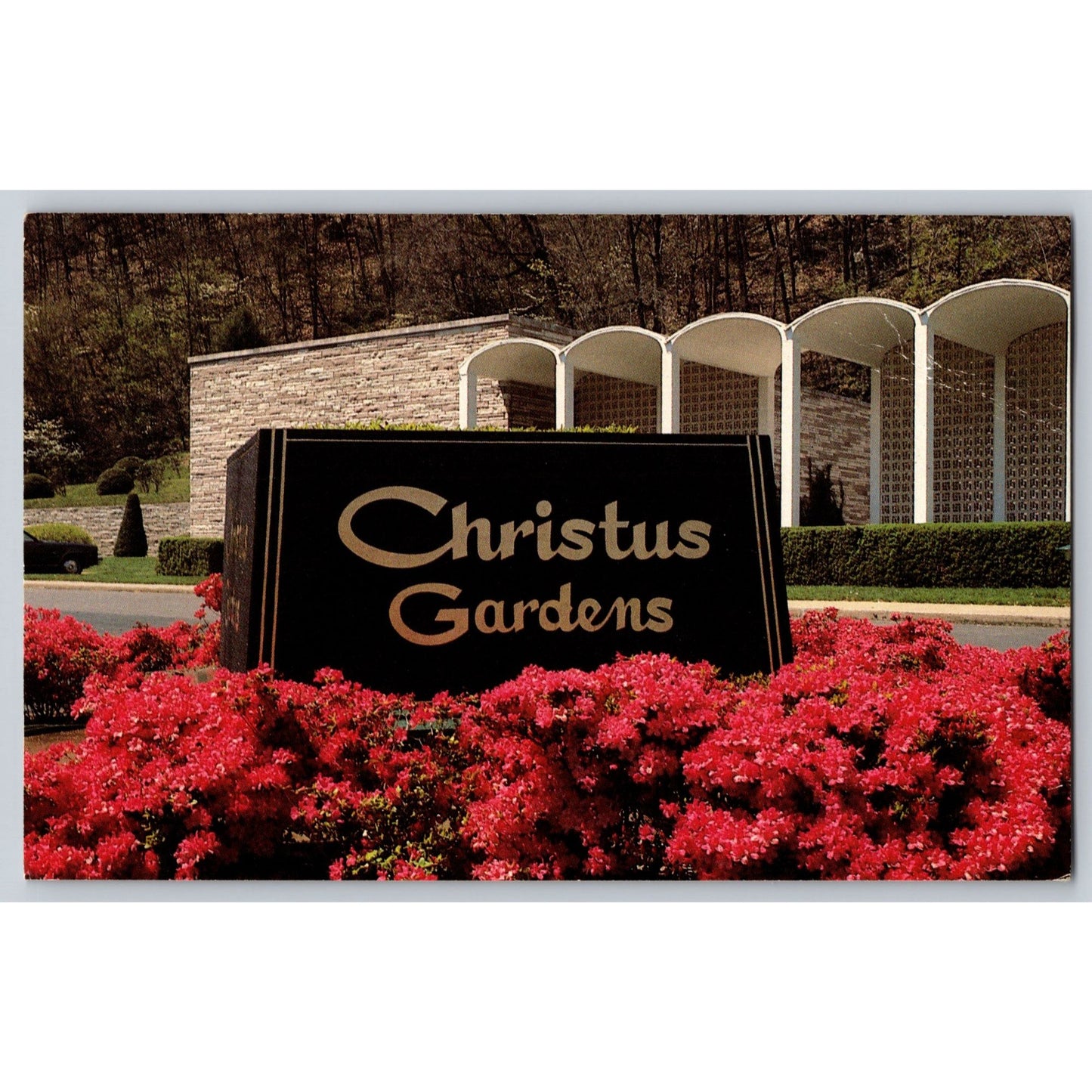 Gatlinburg TNN Tennessee Christus Gardens Postcard Gene Aiken Buckhorn Press