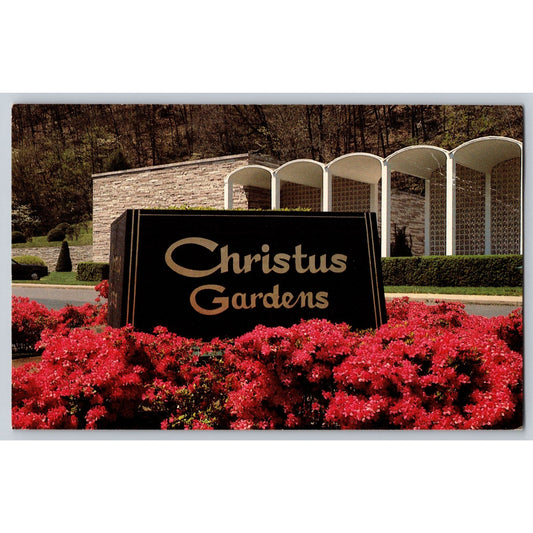 Gatlinburg TNN Tennessee Christus Gardens Postcard Gene Aiken Buckhorn Press