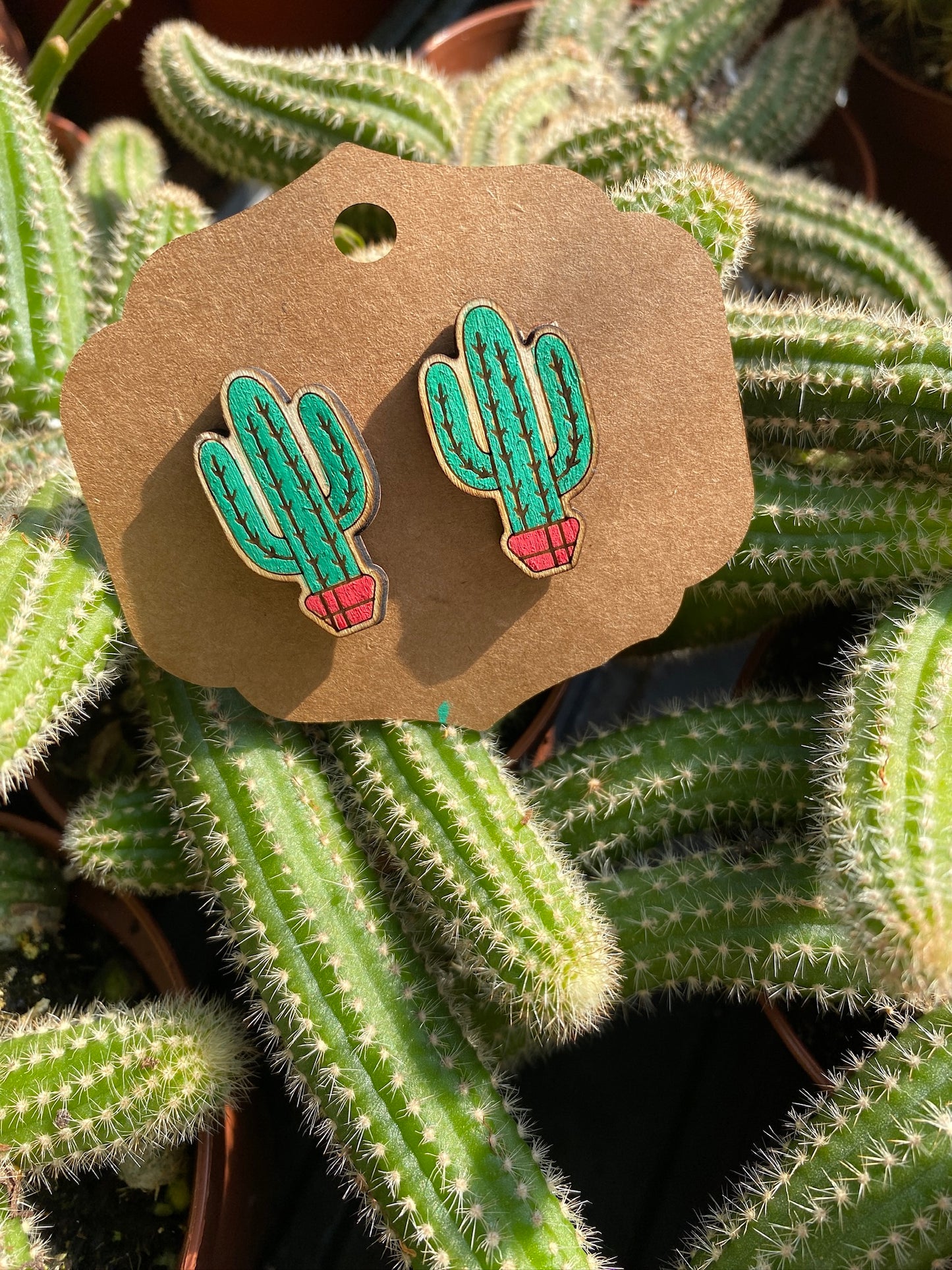 Earrings Post Style Hand Painted Dark Green Saguaros Cactus Cacti Red Pot Potted