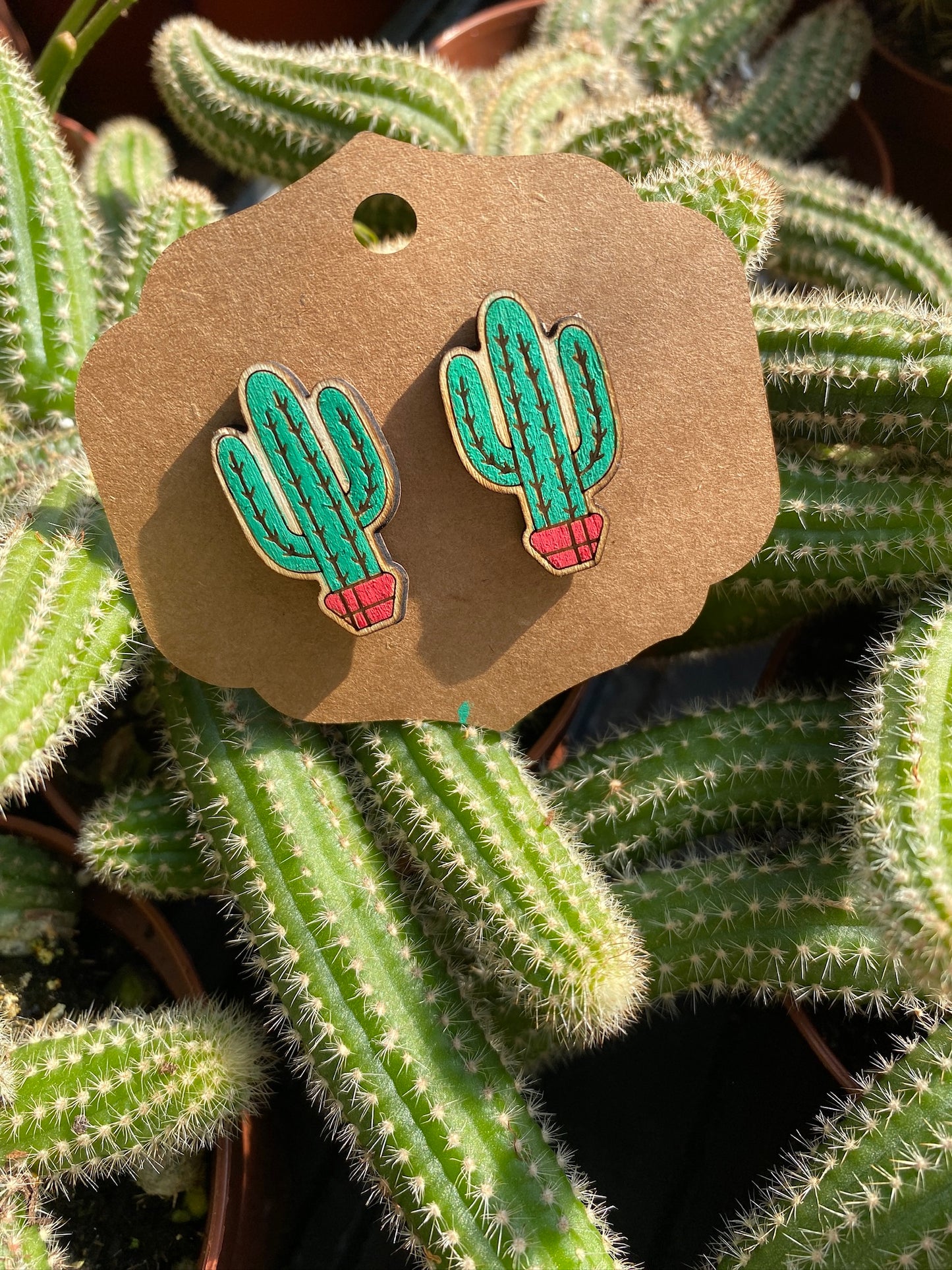 Earrings Post Style Hand Painted Dark Green Saguaros Cactus Cacti Red Pot Potted