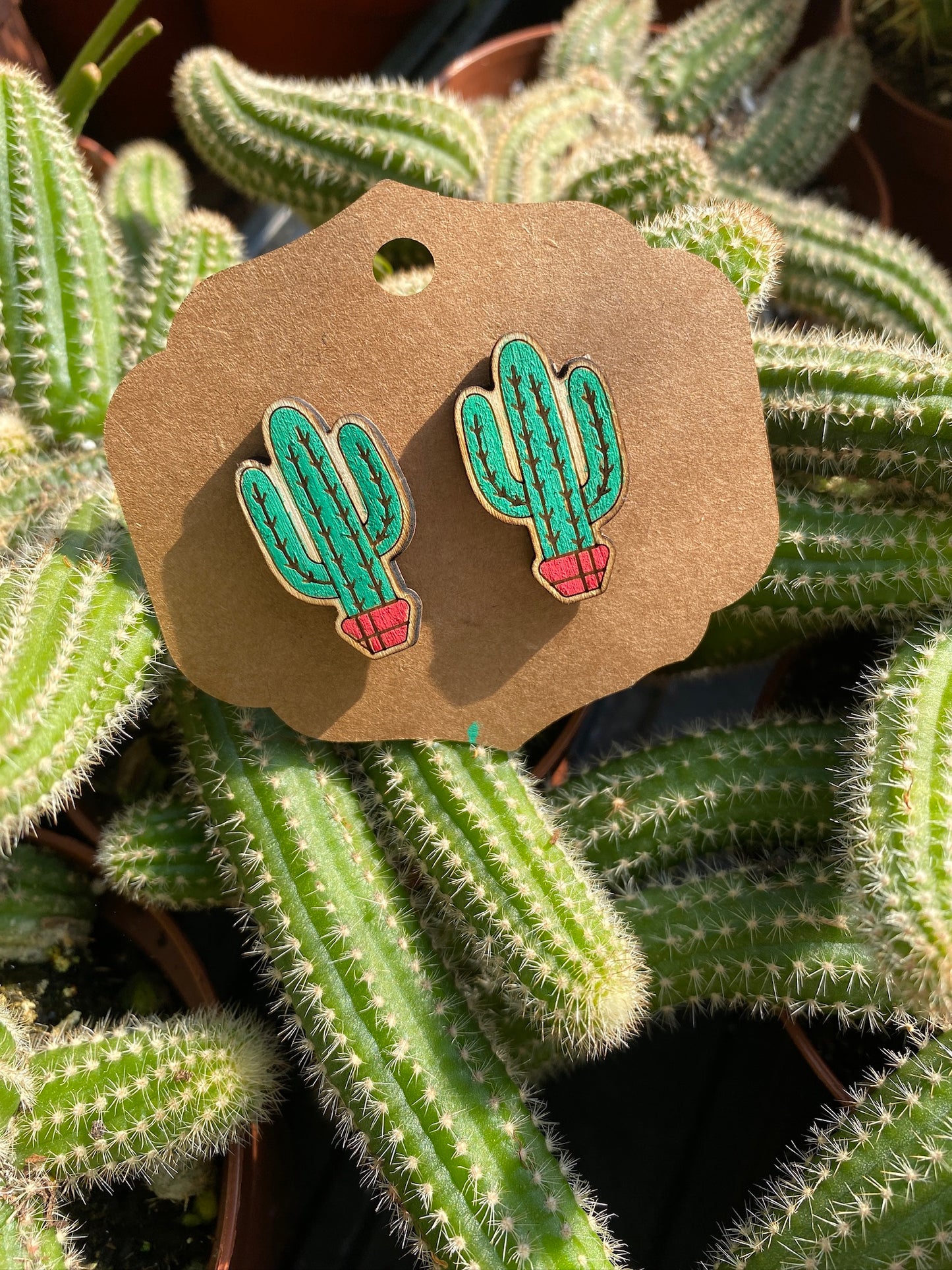 Earrings Post Style Hand Painted Dark Green Saguaros Cactus Cacti Red Pot Potted