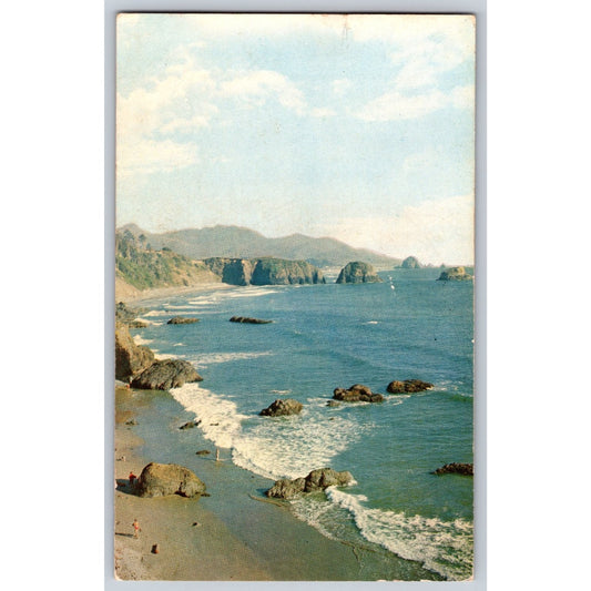 Cannon Beach OR Oregon Ecola State Park Looking South Coast Postcard F D Silkey
