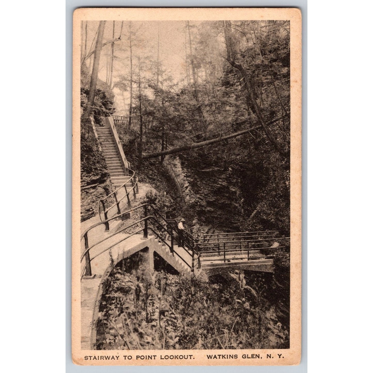 Watkins Glen NY New York Stairway to Point Lookout Scenic View Divided Postcard