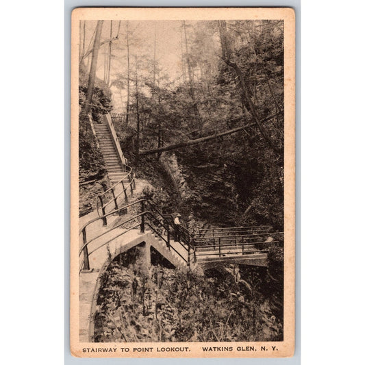 Watkins Glen NY New York Stairway to Point Lookout Scenic View Divided Postcard