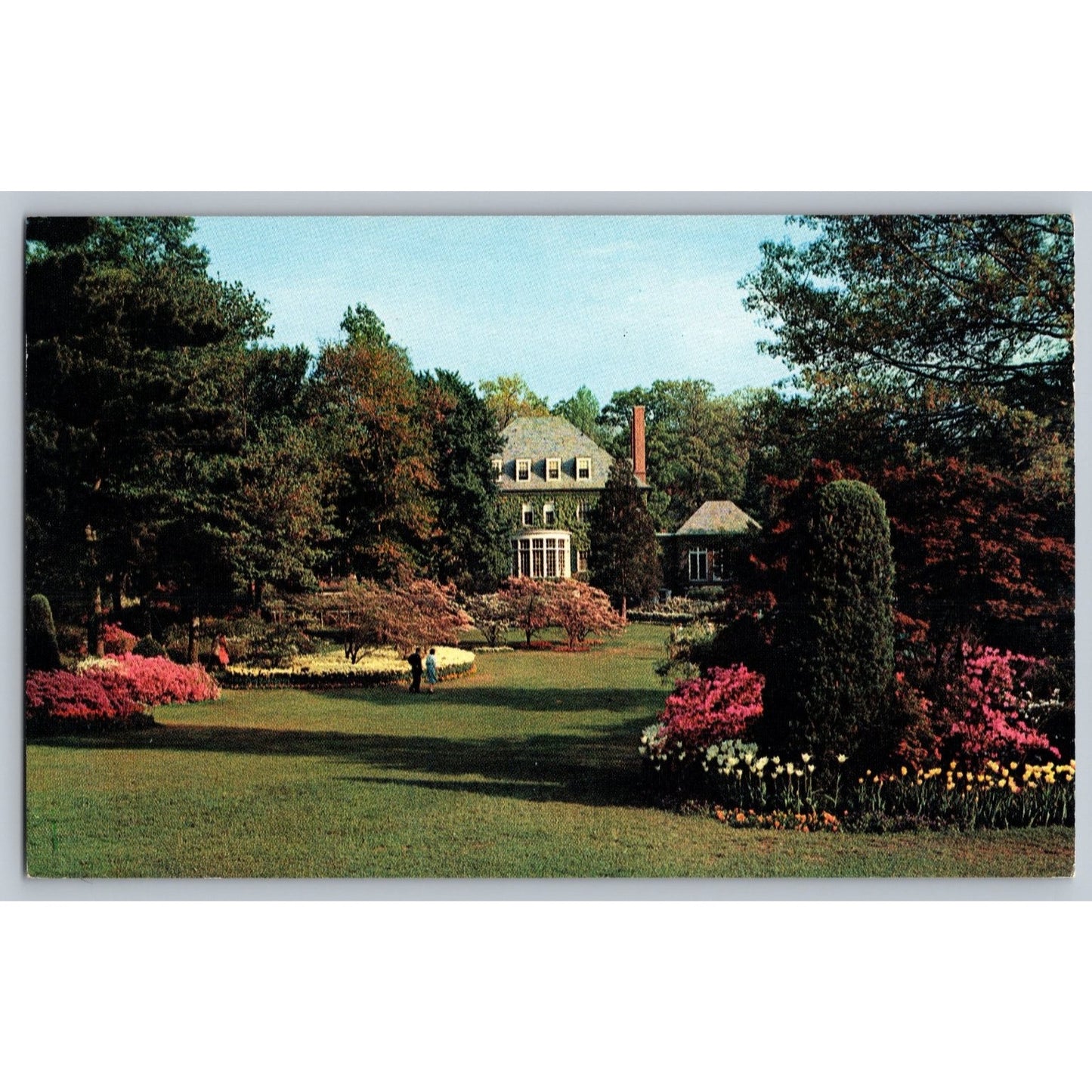 Baltimore MD Maryland Sherwood Gardens Chrome Postcard Unused Colourpicture