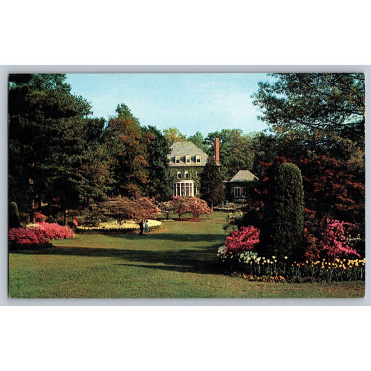 Baltimore MD Maryland Sherwood Gardens Chrome Postcard Unused Colourpicture