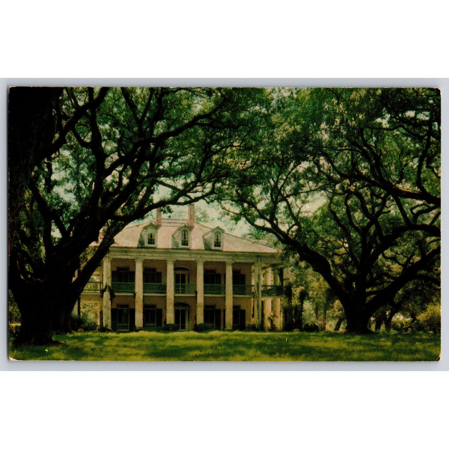 New Orleans LA Louisiana Oak Alley Plantation Chrome Postcard Unused JA Ossen