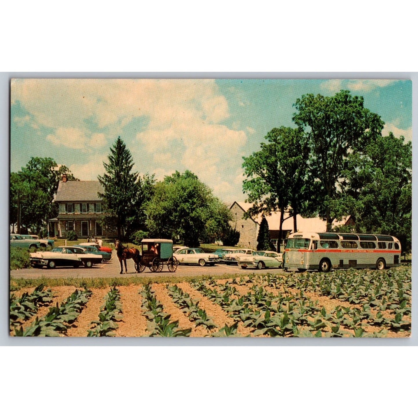 Lancaster PA Pennsylvania Amish Farm House 1955 Chrome Postcard Unused