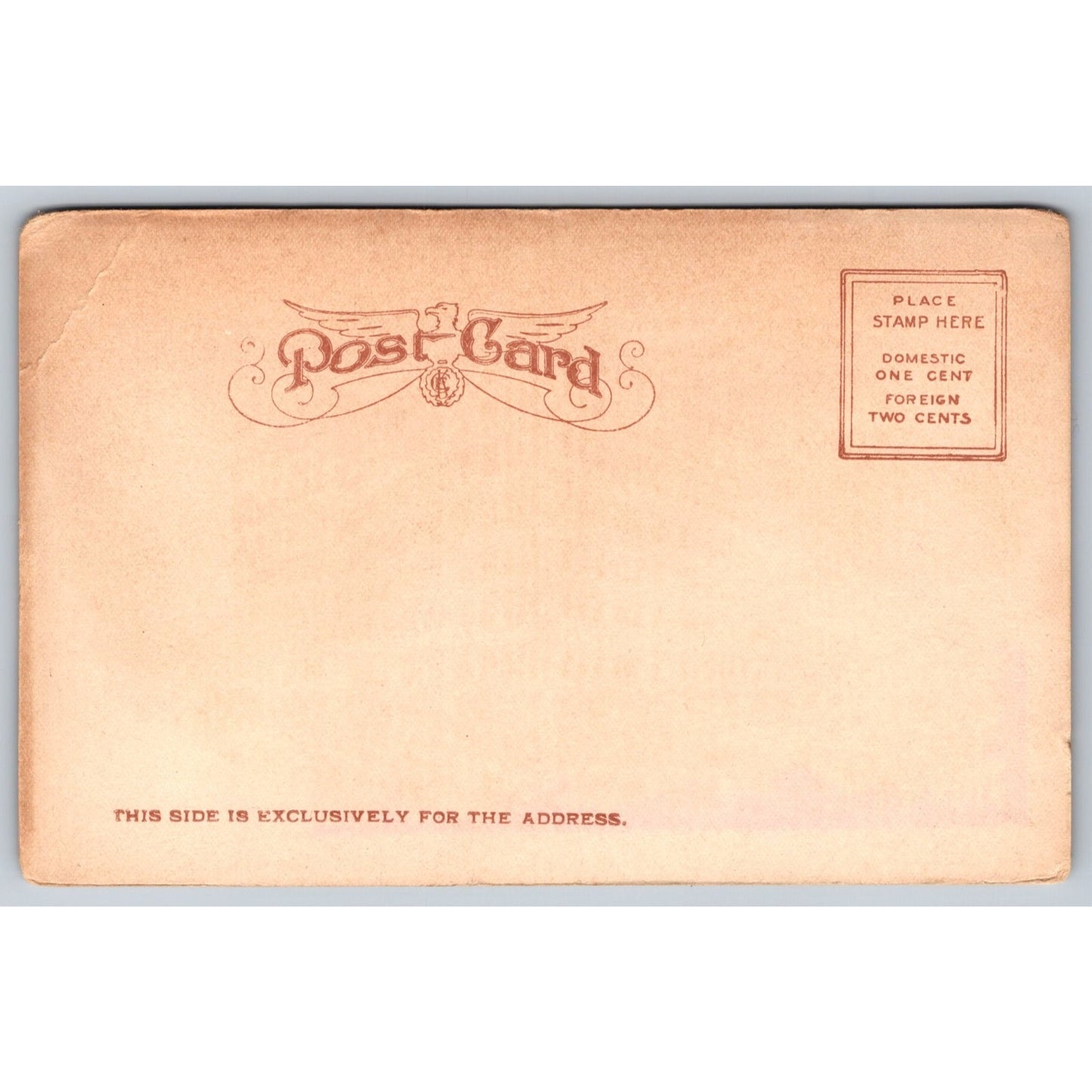 Chicago IL Illinois Marshall Fields Co Store Early 1900s Undivided Back Postcard