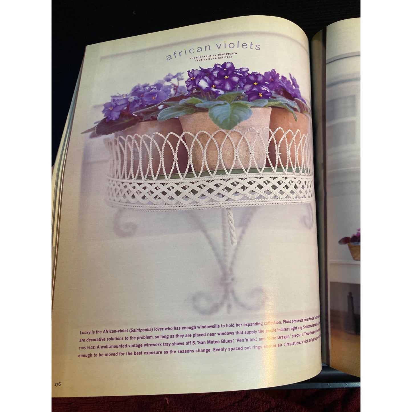 Martha Stewart Living Magazine May 2001 African Violets Coffee Cakes Polka Dots