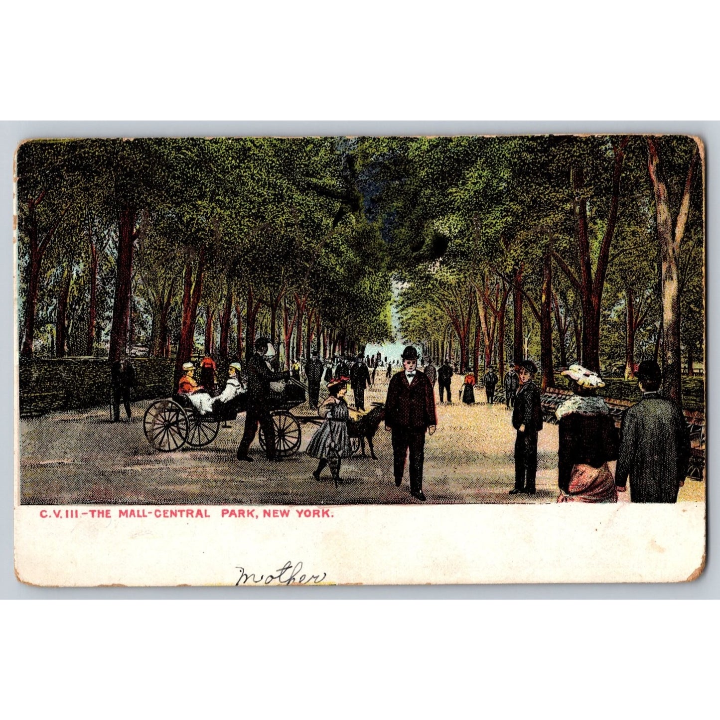 New York City NY Central Park The Mall Scenic Undivided Back Postcard Used
