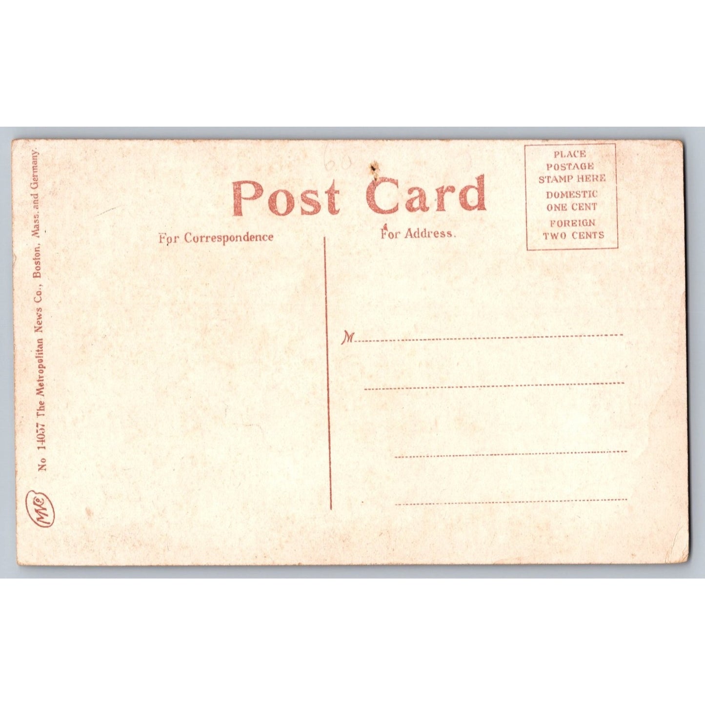 Elmira NY New York River Near Roricks Glen Scenic Divided Back Postcard Unused