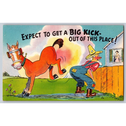 Comic Postcard Cartoon Humorous Horse Get A Big Kick Asheville Post Card Co