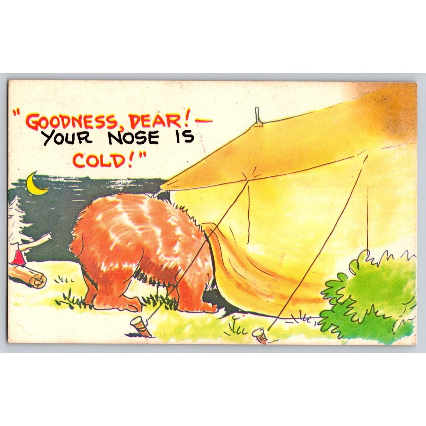 Comic Postcard Humor Bear Camping Goodness Dear Your Nose Is Cold Used