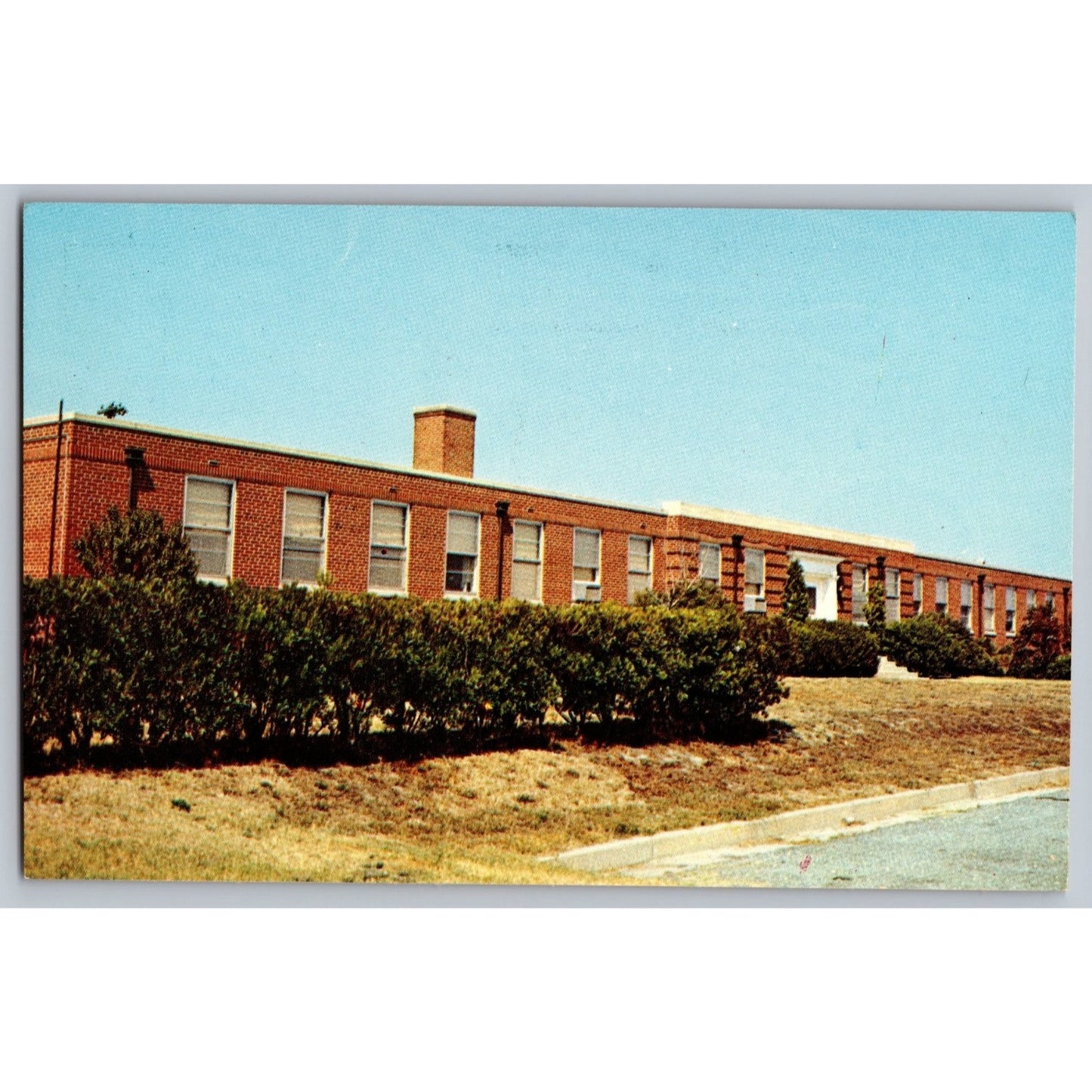 Crisfield MD Maryland Seaford Processing Laboratory Chrome Postcard Unused