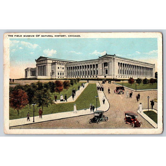 Chicago IL Illinois Field Museum Advertising 1920s White Border Postcard