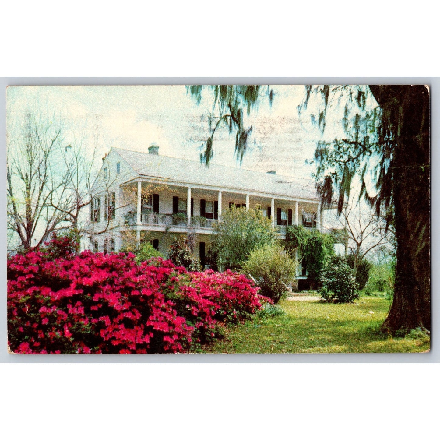 Natchez MS Mississippi Elgin Plantation Natchez 1959 Chrome Postcard Used