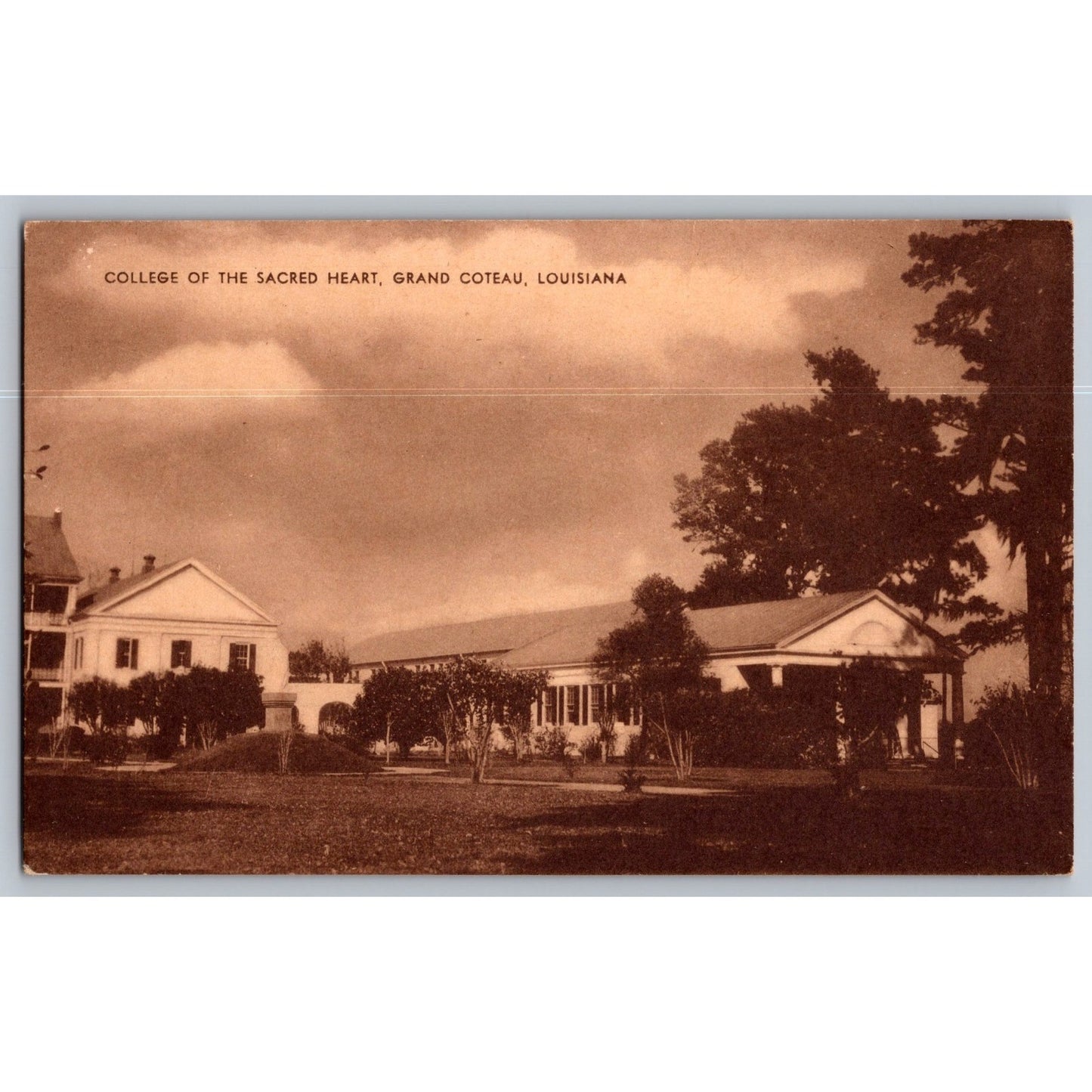 Grand Coteau LA Louisiana College of Sacred Heart Early 1900s Postcard Unused