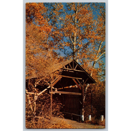 Felton CA California Old Covered Bridge Chrome Postcard Unused Mike Roberts