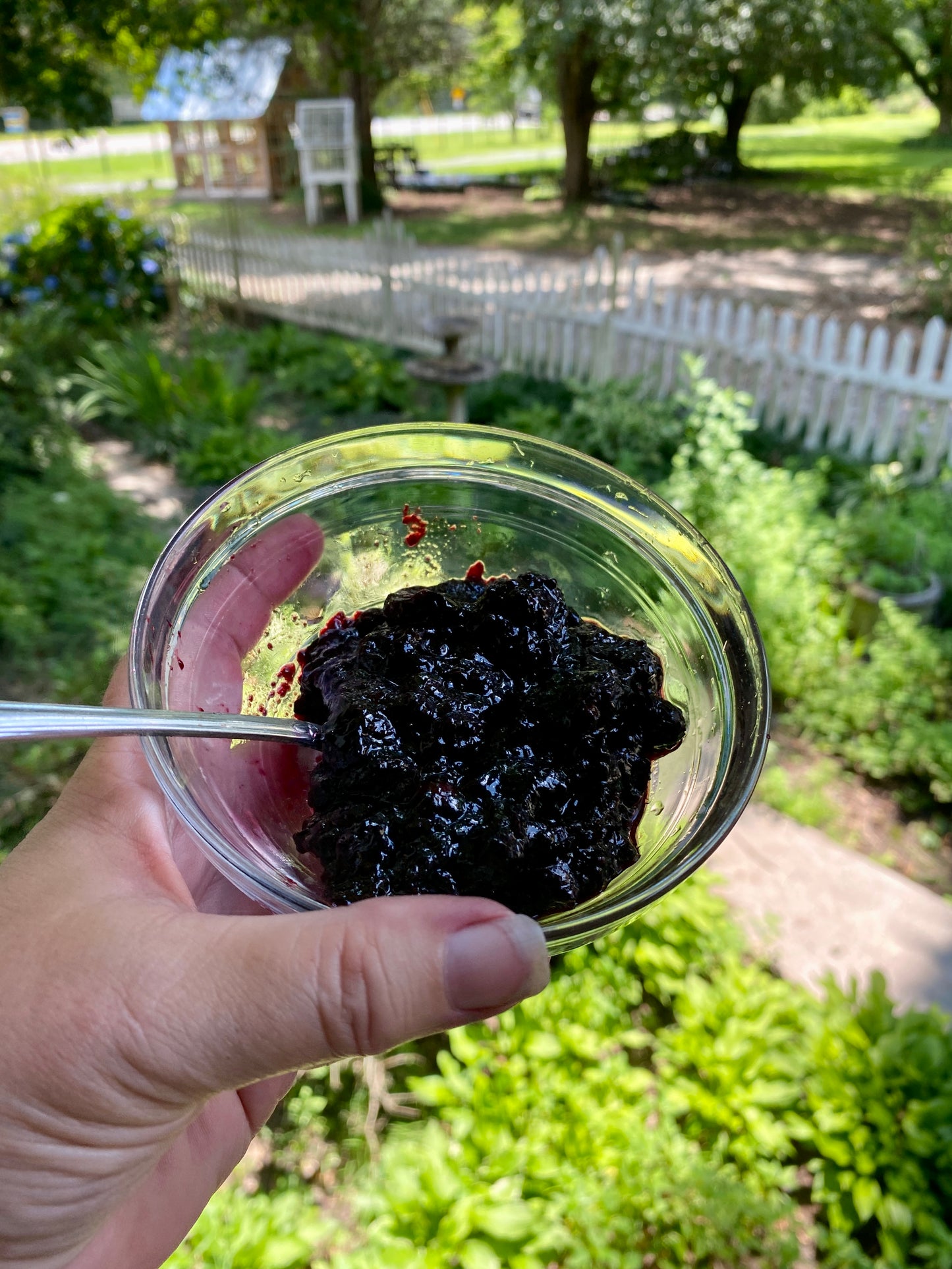 Blueberry Jam - Low Sugar Half Pint Jar